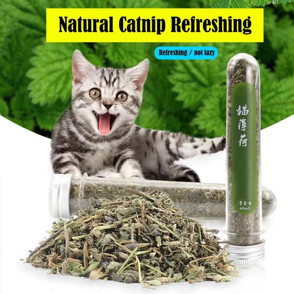 cat carriers,crates & houses 1bag organic flavor natural fragrant mint funny toys catnip pet supplies easy to carry#0211y10
cat carriers,crates & houses 1bag organic flavor natural fragrant mint funny toys catnip pet supplies easy to carry#0211y10