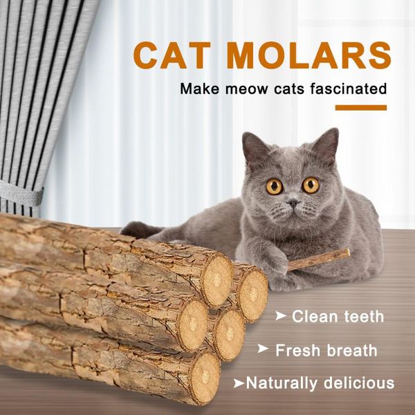 cat toys 10pcs natural catnip pet molar toothpaste stick silvervine sticks cleaning teeth toy products
cat toys 10pcs natural catnip pet molar toothpaste stick silvervine sticks cleaning teeth toy products