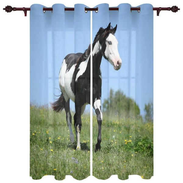exquisite home luxury curtains horse meadow flower living room dining room bedroom l exquisite translucent curtains
exquisite home luxury curtains horse meadow flower living room dining room bedroom l exquisite translucent curtains
