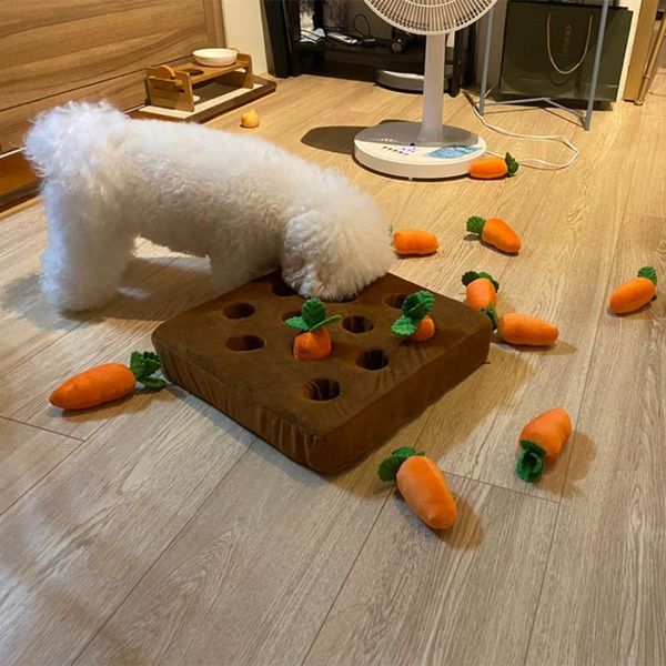 dog toys & chews pet snuffle toy interactivetraining plush molars puzzle slow food picking game baby educational
dog toys & chews pet snuffle toy interactivetraining plush molars puzzle slow food picking game baby educational