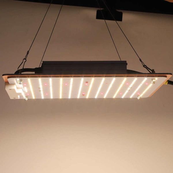 105w led plant grow light full spectrum low energy consumption with thermo hygrometer for garden greenhouse accessory
105w led plant grow light full spectrum low energy consumption with thermo hygrometer for garden greenhouse accessory