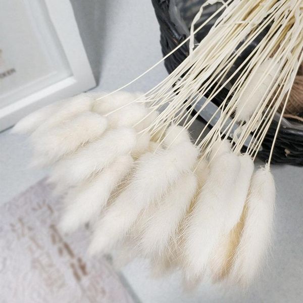 30pcs/lot gradient lagurus ovatus natural dried flowers bouquet wedding home easter decorations rabbit tail grass real jllpfx
30pcs/lot gradient lagurus ovatus natural dried flowers bouquet wedding home easter decorations rabbit tail grass real jllpfx