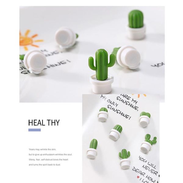 fridge magnets 12pcs 3d succulent plant kitchen refrigerator magnet button cactus decoration
fridge magnets 12pcs 3d succulent plant kitchen refrigerator magnet button cactus decoration