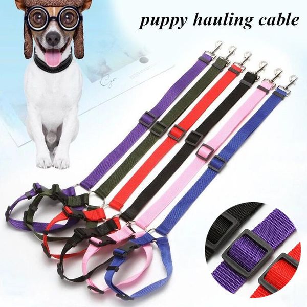 dog collars & leashes universal adjustable car seat safety belt travel strap cat pet clip harness lead leash practical
dog collars & leashes universal adjustable car seat safety belt travel strap cat pet clip harness lead leash practical