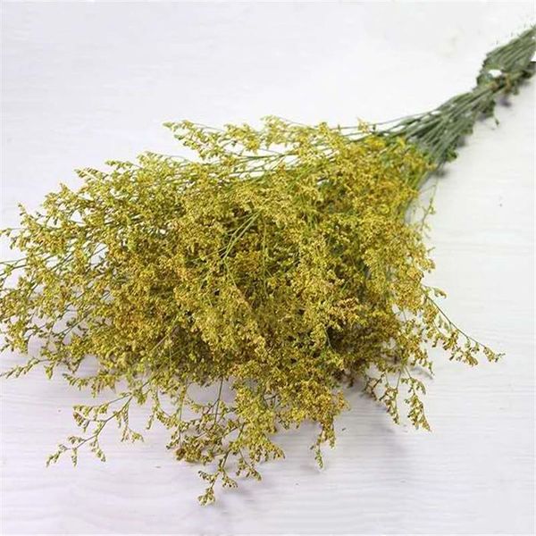 decorative flowers & wreaths 100g dried lover grass flower 50cm bouquet for wedding decor diy craft ornament
decorative flowers & wreaths 100g dried lover grass flower 50cm bouquet for wedding decor diy craft ornament