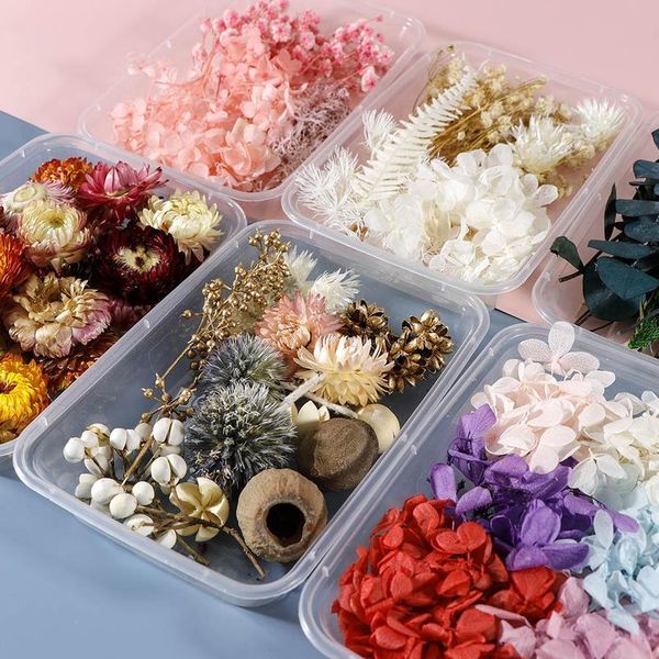 1 box colorful real dried flower plant for aromatherapy candle epoxy resin pendant necklace jewelry making craft diy acc jllvjr
1 box colorful real dried flower plant for aromatherapy candle epoxy resin pendant necklace jewelry making craft diy acc jllvjr