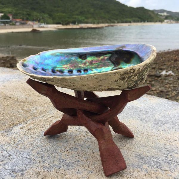 natural new zealand abalone shell big conch diy home decoration aquarium landscaping wedding landscape decoraition crafts gift
natural new zealand abalone shell big conch diy home decoration aquarium landscaping wedding landscape decoraition crafts gift