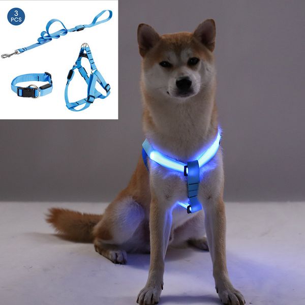 2021 new three buns/set vesr security pet collar blinking light of the harness leash product rope belt led dog curve vest o5zr
2021 new three buns/set vesr security pet collar blinking light of the harness leash product rope belt led dog curve vest o5zr