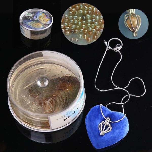 pendant necklaces natural oyster wish freshwater pearl necklace love set women fashion jewelry mysterious surprise gift, Silver
pendant necklaces natural oyster wish freshwater pearl necklace love set women fashion jewelry mysterious surprise gift, Silver