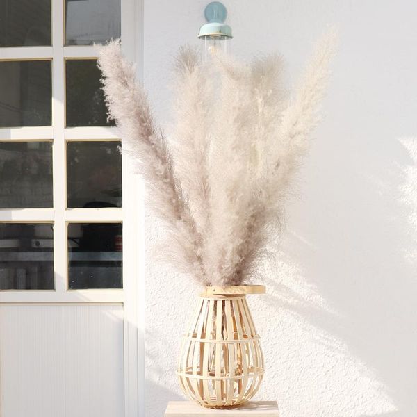 decorative flowers & wreaths 80cm large pampas grass fluffy reed dried flower decor gray boho wedding natural window decoration pographic pr
decorative flowers & wreaths 80cm large pampas grass fluffy reed dried flower decor gray boho wedding natural window decoration pographic pr
