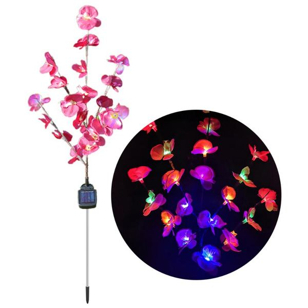lawn lamps butterfly orchid light lanterns arden decoration lamp led garden deck beautiful solar waterproof outdoor walkway lights
lawn lamps butterfly orchid light lanterns arden decoration lamp led garden deck beautiful solar waterproof outdoor walkway lights