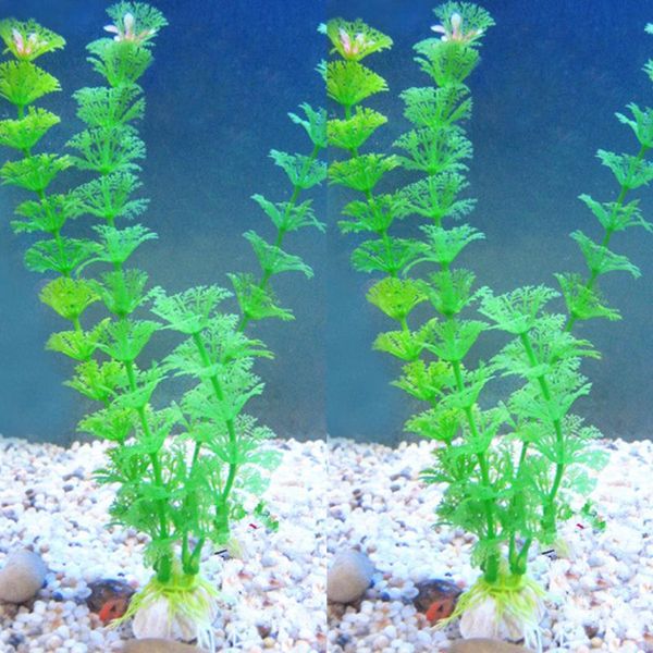 aquatic plant decorations fish tank landscape pet supplies simulation underwater home office easy clean aquarium plastic grass
aquatic plant decorations fish tank landscape pet supplies simulation underwater home office easy clean aquarium plastic grass