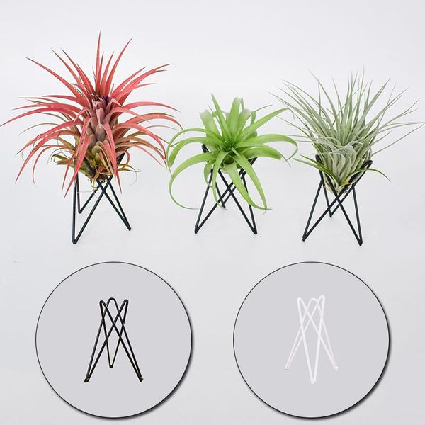 planters & pots tillandsia air plant holder home decor office indoor outdoor iron art display garden pergolas ornaments table flower stand
planters & pots tillandsia air plant holder home decor office indoor outdoor iron art display garden pergolas ornaments table flower stand