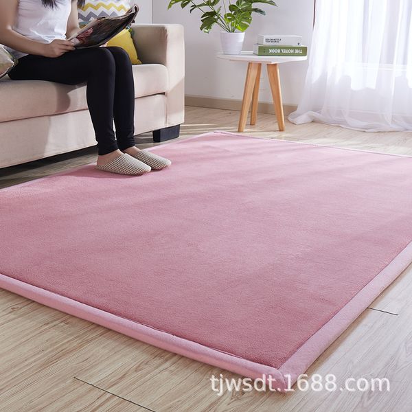 thickened coral veet carpet tatami pad beoom living room bay window baby chilen's crawling
thickened coral veet carpet tatami pad beoom living room bay window baby chilen's crawling