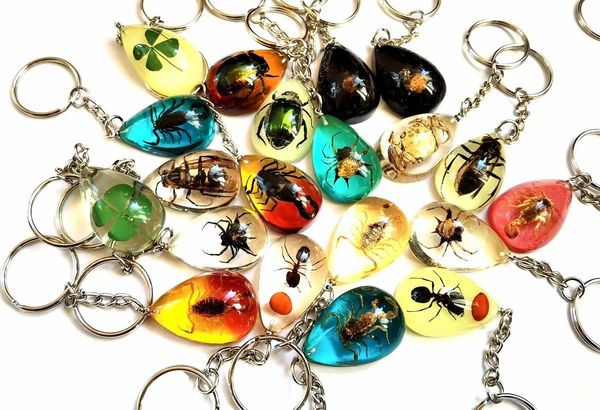 12 pcs charming real scorpion bee mixed back drop style keychain specimen, Slivery;golden
12 pcs charming real scorpion bee mixed back drop style keychain specimen, Slivery;golden