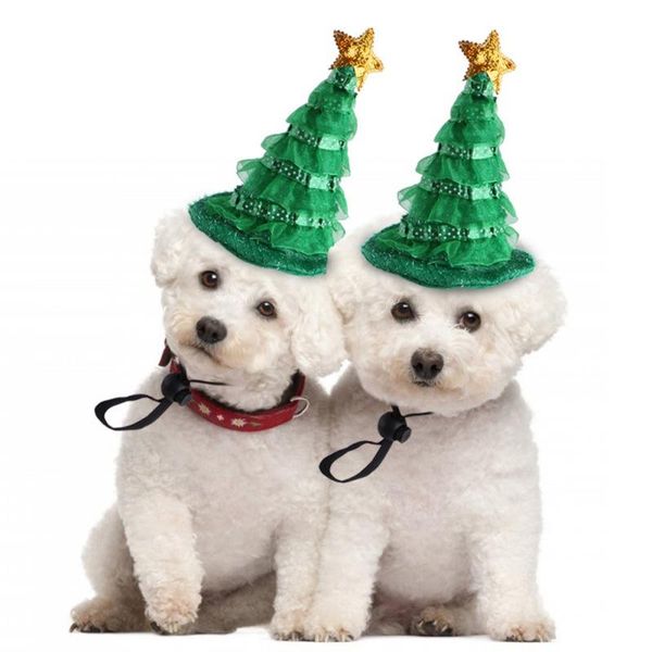 cat costumes a pet hat teddy dress up christmas tree headdress headgear halloween cosplay costume decoration
cat costumes a pet hat teddy dress up christmas tree headdress headgear halloween cosplay costume decoration
