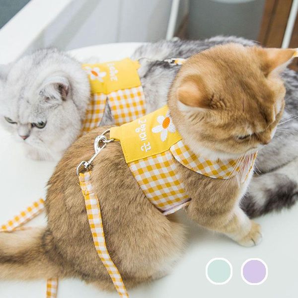 cat collars & leads breathable pet vest harness for cats fashion leash cute accesories luxury summer dog collar small dogs drop
cat collars & leads breathable pet vest harness for cats fashion leash cute accesories luxury summer dog collar small dogs drop