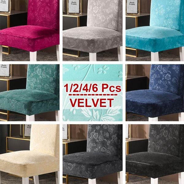 1/2/4/6 pieces velvet fabric universal size chair covers bar chair cover cover luxury covers seat case for dining room
1/2/4/6 pieces velvet fabric universal size chair covers bar chair cover cover luxury covers seat case for dining room