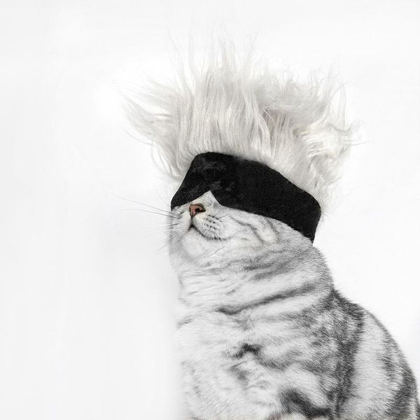 cat costumes pet cats dogs funny cosplay wig eye mask cross-dressing hair set hat holiday party clothing props supplies accessories
cat costumes pet cats dogs funny cosplay wig eye mask cross-dressing hair set hat holiday party clothing props supplies accessories