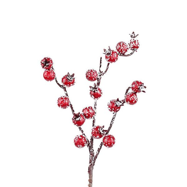 2021 new fashion simulation red fruit pomegranate fruit foam berry home decoration accessories 1pcs
2021 new fashion simulation red fruit pomegranate fruit foam berry home decoration accessories 1pcs