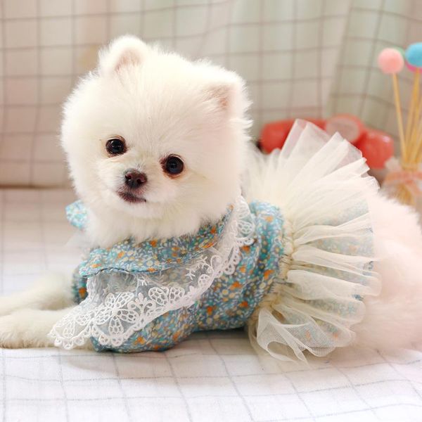 summer dog lace tulle dresses pet clothes for small dog party birthday wedding floral printed puppy costume spring pet clothes
summer dog lace tulle dresses pet clothes for small dog party birthday wedding floral printed puppy costume spring pet clothes