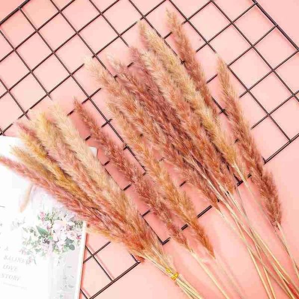10cs dried reed flower arrangement natural pampas grass phragmites communis plants bouquet for modern home wedding decoration
10cs dried reed flower arrangement natural pampas grass phragmites communis plants bouquet for modern home wedding decoration