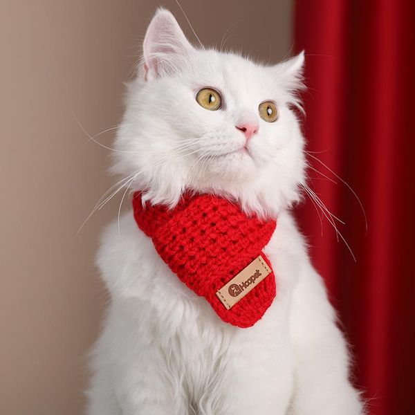 cat costumes winter autumn fashion knitted warm scarf small dog pet accessories clothes products for cats
cat costumes winter autumn fashion knitted warm scarf small dog pet accessories clothes products for cats