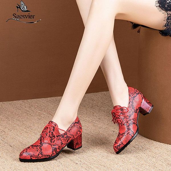 dress shoes sgesvier 2021 arrival women pumps spring summer round toe single lace up snake fashion ladies office, Black
dress shoes sgesvier 2021 arrival women pumps spring summer round toe single lace up snake fashion ladies office, Black