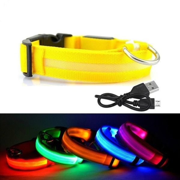 dog collars & leashes 1pc usb rechargeable led collar night safety flashing glow pet cat with cable charging
dog collars & leashes 1pc usb rechargeable led collar night safety flashing glow pet cat with cable charging