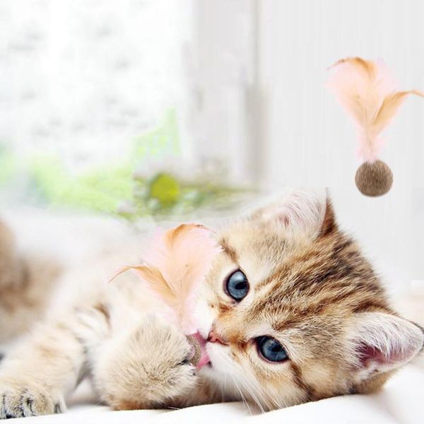 cat toys aapet 3pcs pet chew toy catnip shuttlecock shape for puppy interactive bite dog molar kitten supplies
cat toys aapet 3pcs pet chew toy catnip shuttlecock shape for puppy interactive bite dog molar kitten supplies