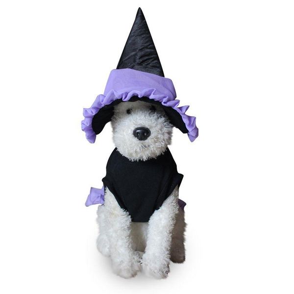 dog apparel stylishpet clothes sets cats dogs general turned into funny witch set dressing up coat clothesd1
dog apparel stylishpet clothes sets cats dogs general turned into funny witch set dressing up coat clothesd1