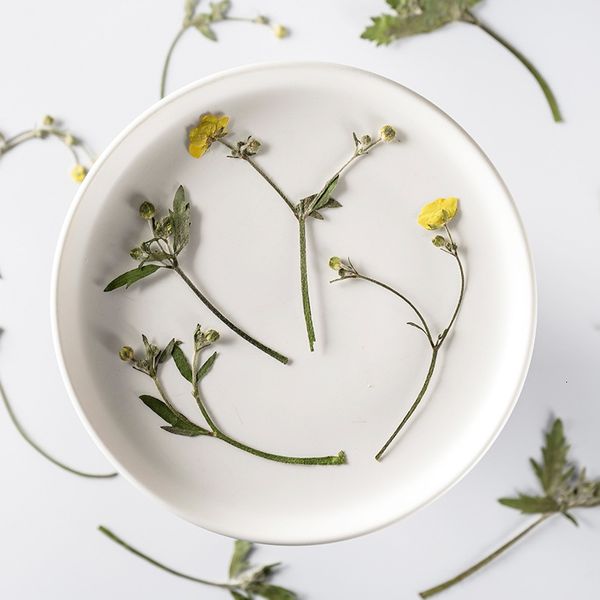 ranunculus flower bud embossing dry pressing with branch real activity bookmark material bag glue dropping mobile phone festival gift design
ranunculus flower bud embossing dry pressing with branch real activity bookmark material bag glue dropping mobile phone festival gift design