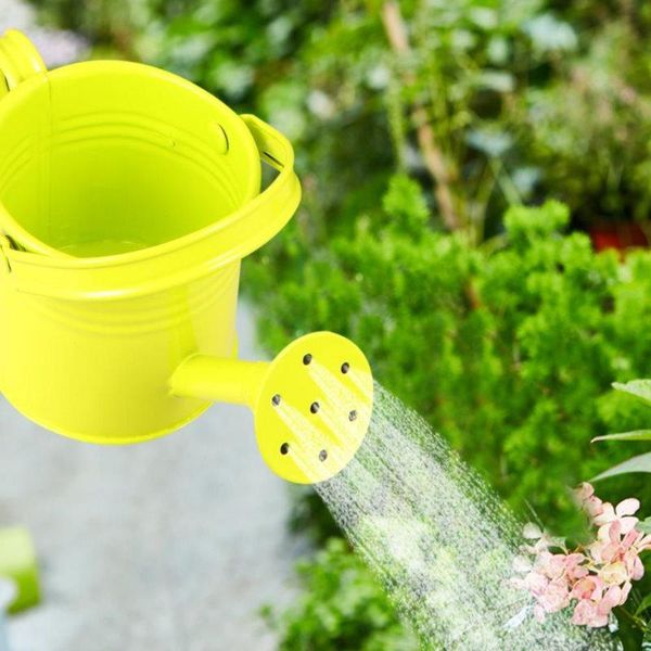 watering equipments candy color mini sprinkler home garden indoor vintage flower metal arrangement succulent planting pot iron po1pc
watering equipments candy color mini sprinkler home garden indoor vintage flower metal arrangement succulent planting pot iron po1pc