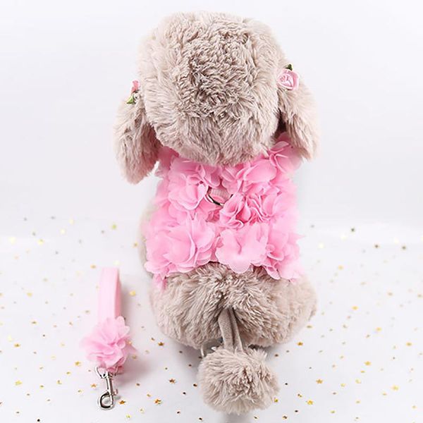 fashion cat harness vest breathable mesh dog harness leash set cute flower accessories for small dogs kitten
fashion cat harness vest breathable mesh dog harness leash set cute flower accessories for small dogs kitten