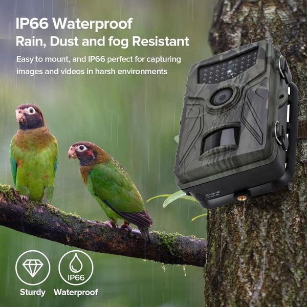 hunting cameras 20mp 1080p trail camera wildlife tracking surveillance hc804a infrared night vision wild po traps
hunting cameras 20mp 1080p trail camera wildlife tracking surveillance hc804a infrared night vision wild po traps