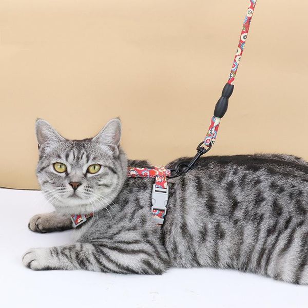 dog collars & leashes adjustable small harness plaid cat vest leads with bow tie pet leash for dogs and cats kitten collar wholesale pink br
dog collars & leashes adjustable small harness plaid cat vest leads with bow tie pet leash for dogs and cats kitten collar wholesale pink br