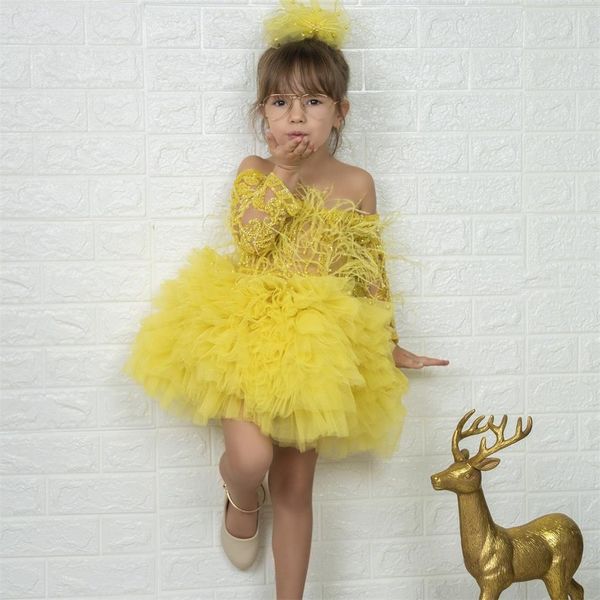 sheer neck flower girl' dresses long sleeve lace feather puff skirt tulle pageant gowns girl birthday party dress, White;blue
sheer neck flower girl' dresses long sleeve lace feather puff skirt tulle pageant gowns girl birthday party dress, White;blue