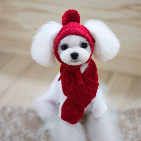 dog apparel korean style hat scarf set pet wool decoration warm clothing winter supplies w0yc
dog apparel korean style hat scarf set pet wool decoration warm clothing winter supplies w0yc