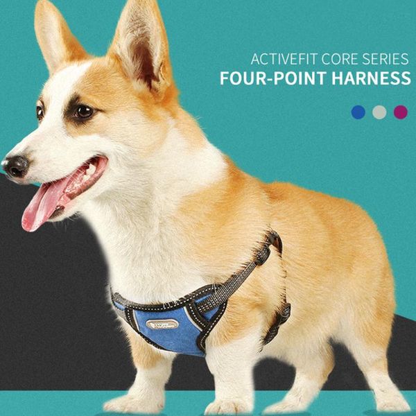 dog collars & leashes lifts support vest pet help products chien collar leash harness with a handle lifting for dogs
dog collars & leashes lifts support vest pet help products chien collar leash harness with a handle lifting for dogs