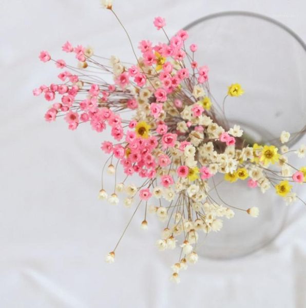 30pcs small star flower dried daisy art decoration shooting props home epoxy resin decorative flowers & wreaths1
30pcs small star flower dried daisy art decoration shooting props home epoxy resin decorative flowers & wreaths1