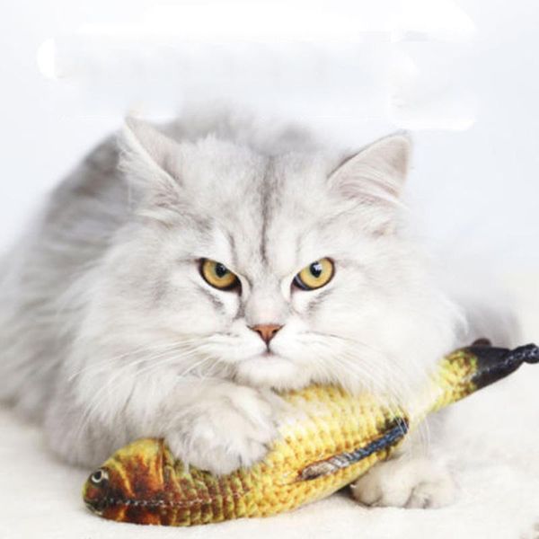 pet soft plush 3d fish shape cat toy interactive gifts fish catnip toys stuffed pillow doll simulation playing toy for pet
pet soft plush 3d fish shape cat toy interactive gifts fish catnip toys stuffed pillow doll simulation playing toy for pet