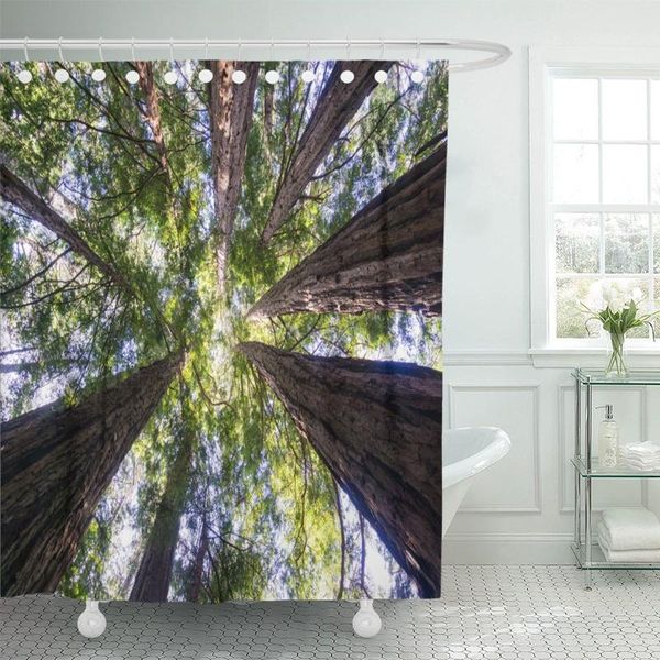 shower curtains colorful sequoia redwood forest california red giant sempervirens america curtain waterproof fabric 72 x 78 inches set
shower curtains colorful sequoia redwood forest california red giant sempervirens america curtain waterproof fabric 72 x 78 inches set