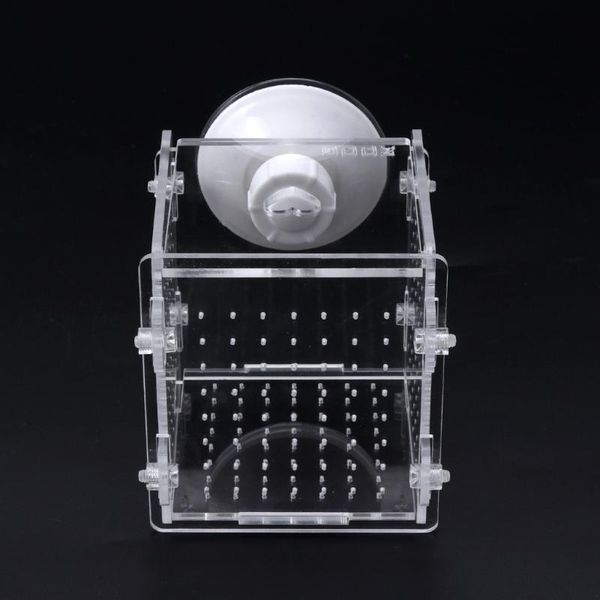aquariums aquarium fish breeding isolation box tank incubator breeder for baby hx6d
aquariums aquarium fish breeding isolation box tank incubator breeder for baby hx6d