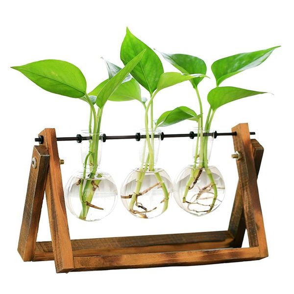 vases 1pc wooden stand glass terrarium container hydroponics planter flower pot tablevase diy home office wedding decor
vases 1pc wooden stand glass terrarium container hydroponics planter flower pot tablevase diy home office wedding decor
