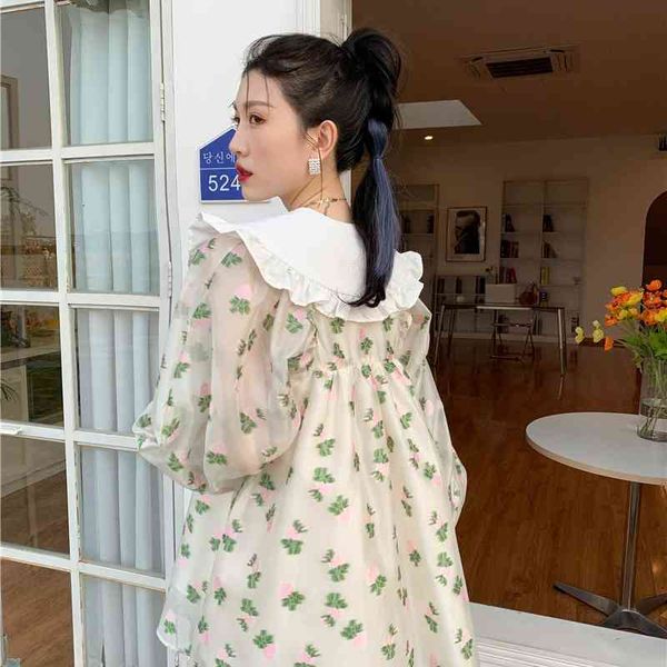casual dresses kawaii floral peter pan collar long sleeve tulle lantern a line korean sheer cute spring summer 2021 axxo, Black;gray
casual dresses kawaii floral peter pan collar long sleeve tulle lantern a line korean sheer cute spring summer 2021 axxo, Black;gray