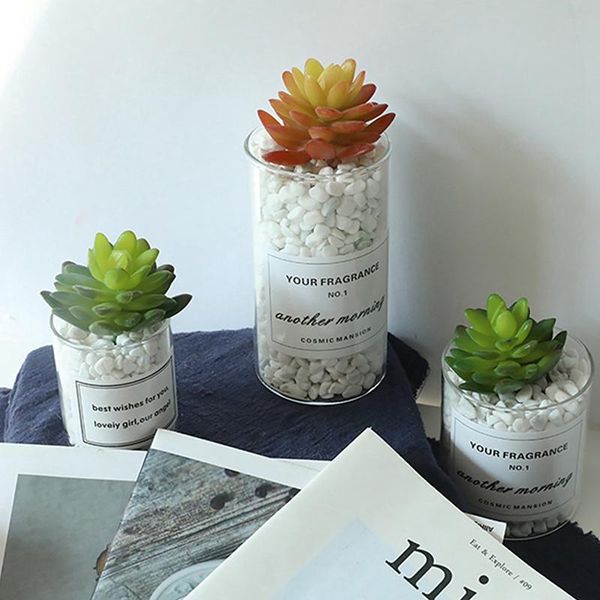 decorative flowers & wreaths simulation succulent siamese gem artificial flower indoor plant landscape plants decor 1
decorative flowers & wreaths simulation succulent siamese gem artificial flower indoor plant landscape plants decor 1