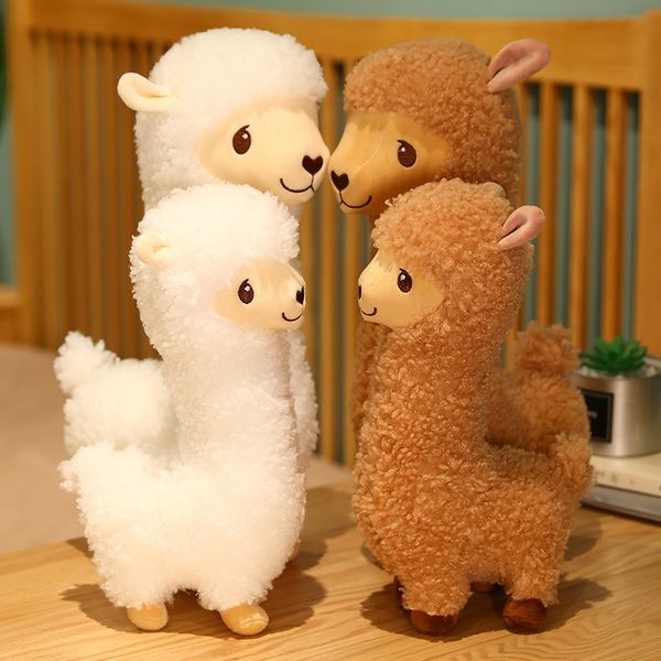 33cm-53cm kawaii alpaca plush toy stuffed animal soft plushie sheep llama sleep pillow cushion sofa home decor kids girls gift
33cm-53cm kawaii alpaca plush toy stuffed animal soft plushie sheep llama sleep pillow cushion sofa home decor kids girls gift