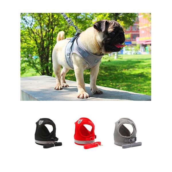 dog collars & leashes reflective safety pet harness and leash set for small medium dogs cat harnesses vest puppy chest strap pug chihuahua b
dog collars & leashes reflective safety pet harness and leash set for small medium dogs cat harnesses vest puppy chest strap pug chihuahua b