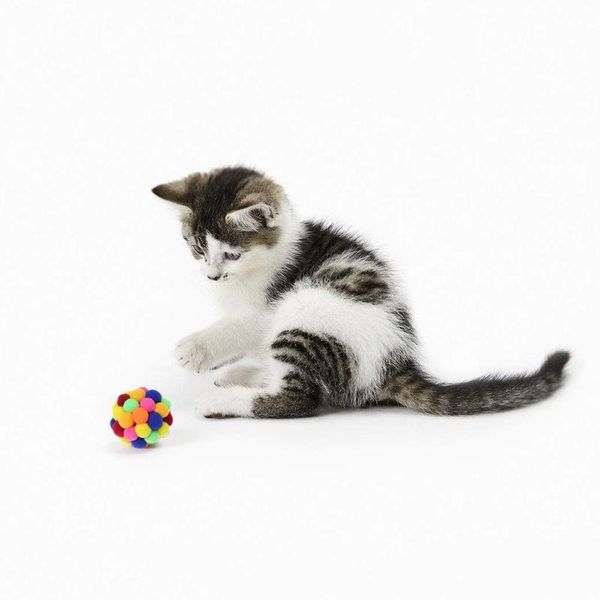 cat toys pet colorful handmade bells bouncy ball built-in catnip interactive kitten play chewing rattle scratch toy traning products
cat toys pet colorful handmade bells bouncy ball built-in catnip interactive kitten play chewing rattle scratch toy traning products