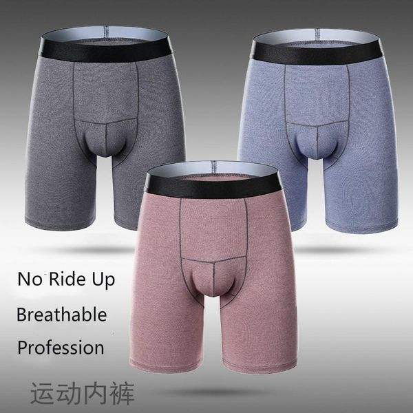 underpants mens natural colored cotton boxers no ride up long boxershorts stretch para panties breathable innerwear for men coton shorts, Black;white
underpants mens natural colored cotton boxers no ride up long boxershorts stretch para panties breathable innerwear for men coton shorts, Black;white
